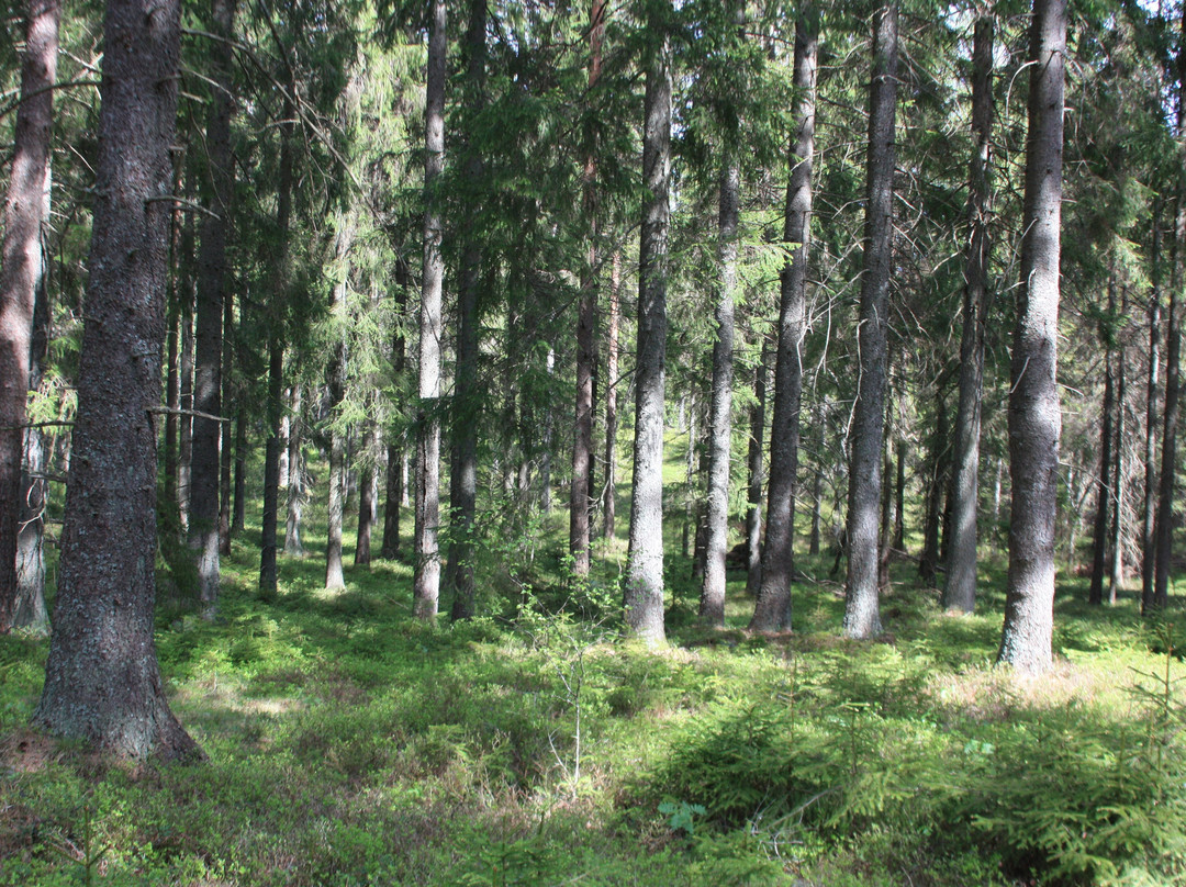 Ulkeröds Gård-Hedekas必去景点