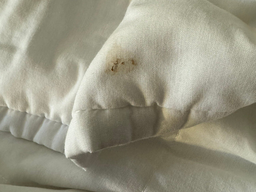 布法罗国际机场假日酒店主图