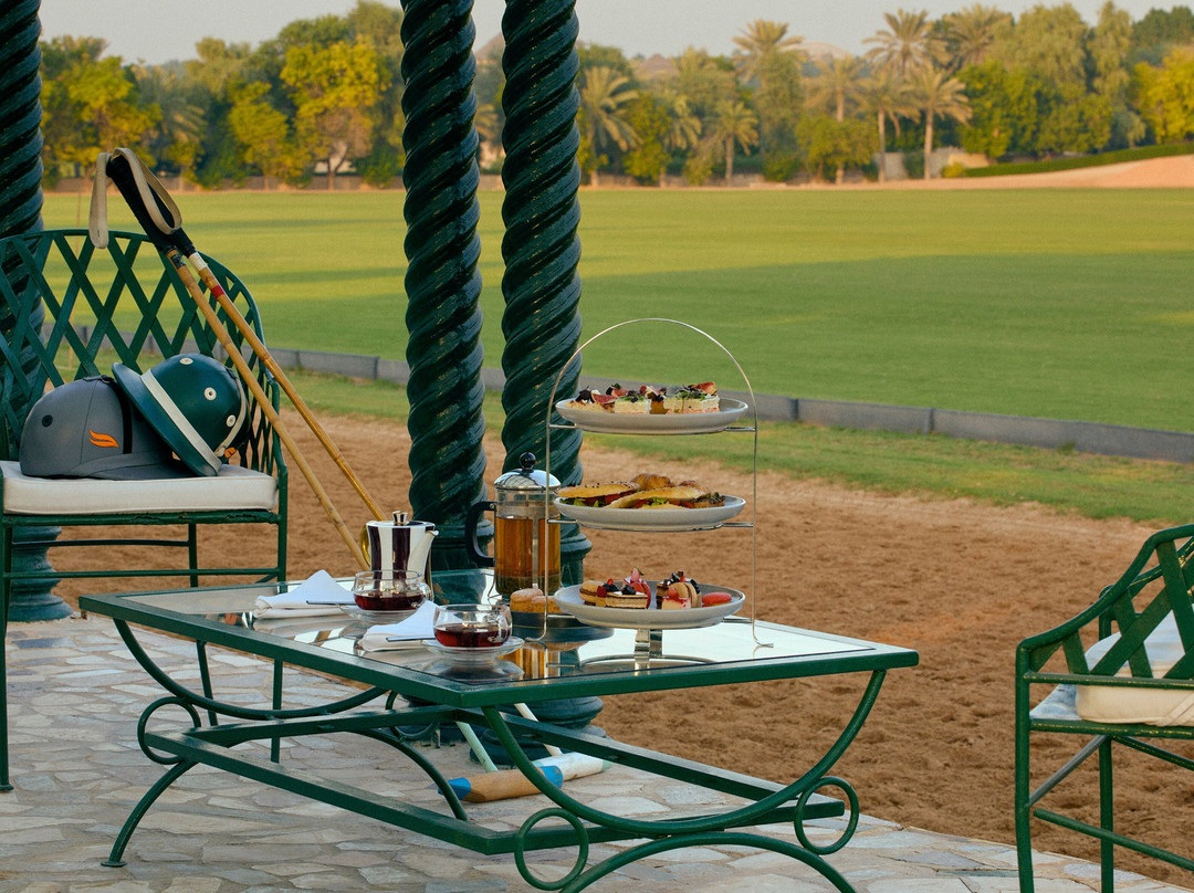 Meliá Desert Palm Member of Meliá Collection主图