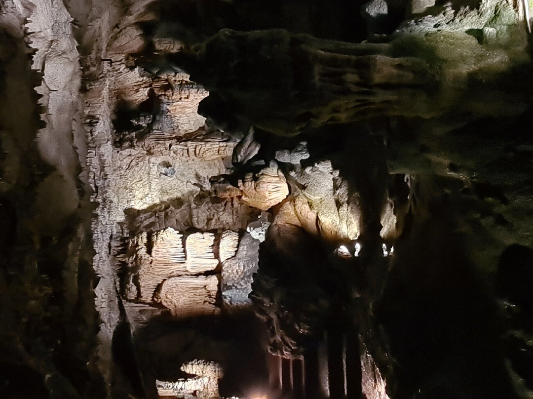 Grottes d'Osselle景点图片