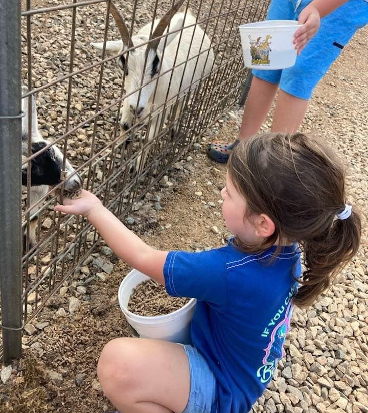 The Lazy 5 Ranch-穆尔斯维尔必去景点