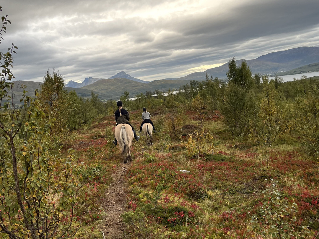 Tromsø Turhest As景点图片