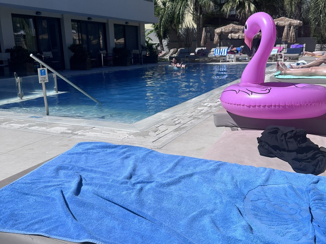 Paradise Bar Apartments主图