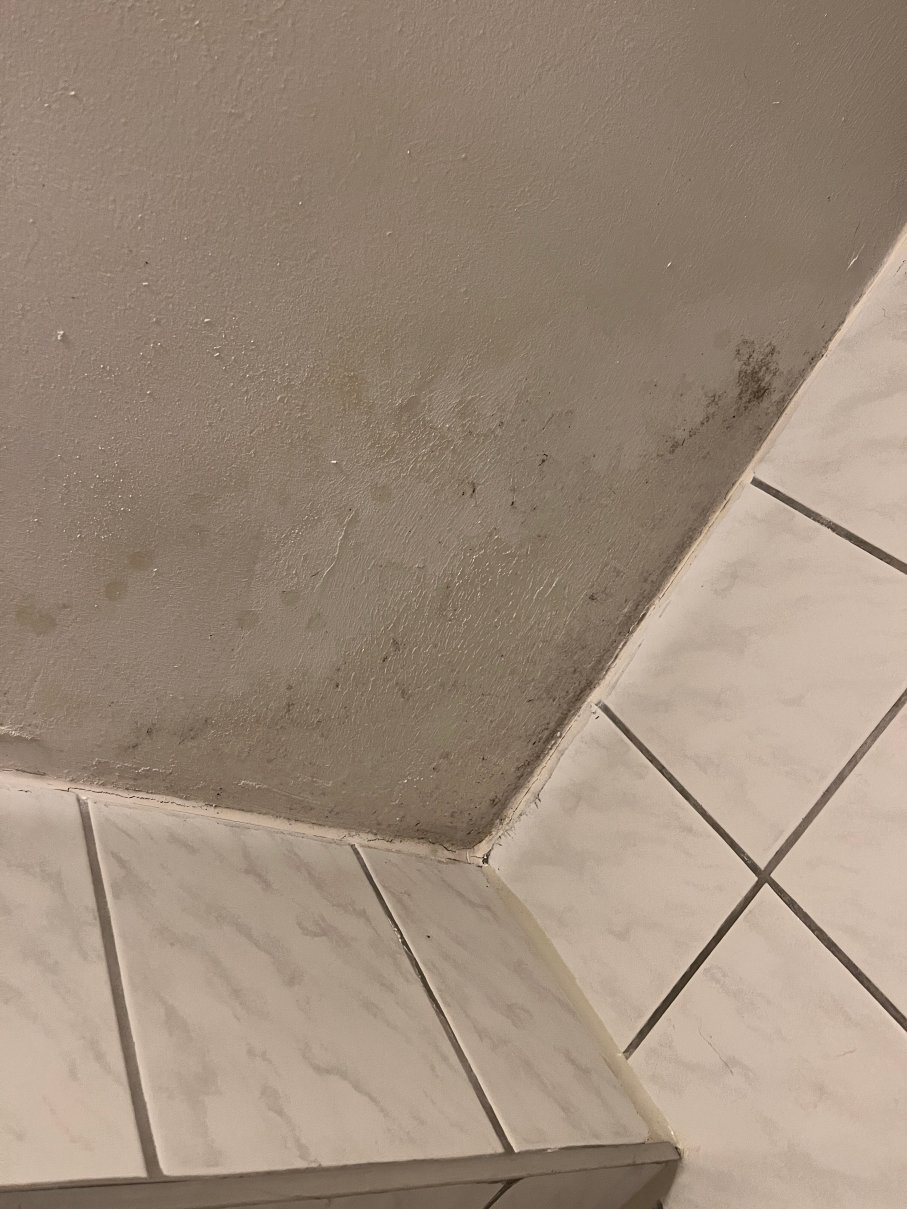 阿诺达斯科拉斯餐厅&酒店-官方