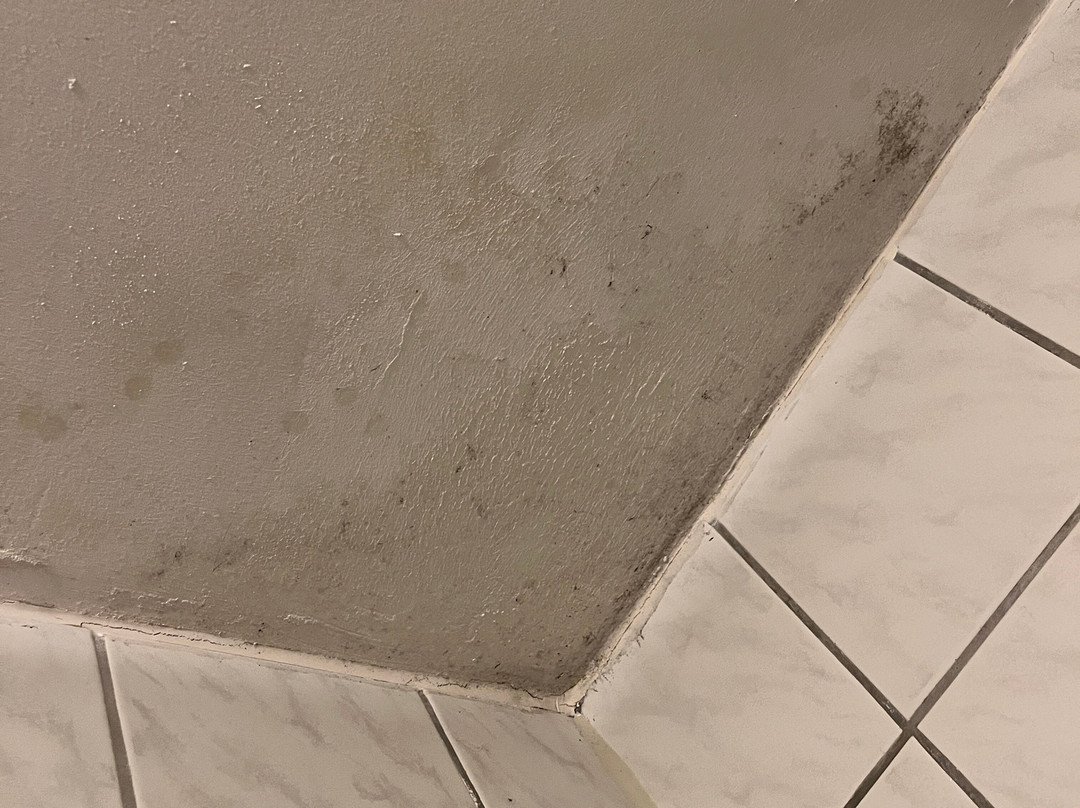 阿诺达斯科拉斯餐厅&酒店