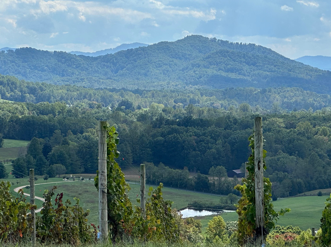 Hazy Mountain Vineyard & Brewery-Afton必去景点