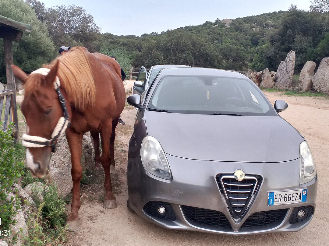 Centro Equestre La Prugnola-Arzachena必去景点