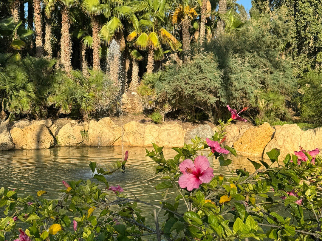Parque El Palmeral景点图片
