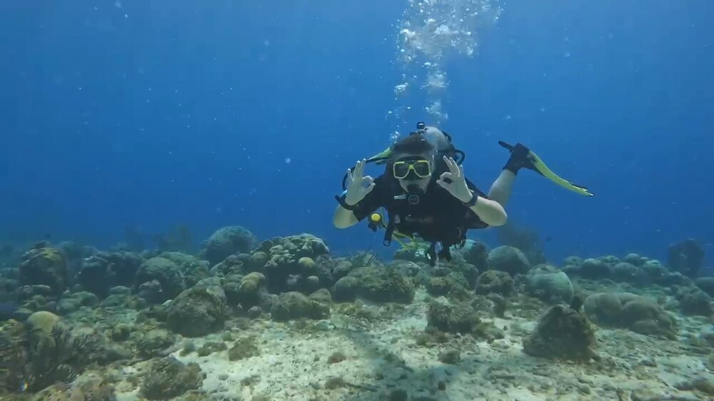 Duik op Curacao-威廉斯塔德必去景点