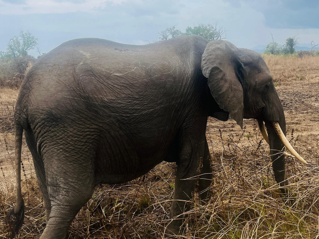 Mokimoh Adventure Tanzania-Dar es Salaam必去景点