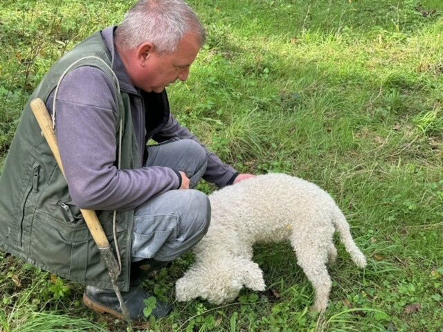 Truffle in Tuscany (Truffle hunting experience)景点图片