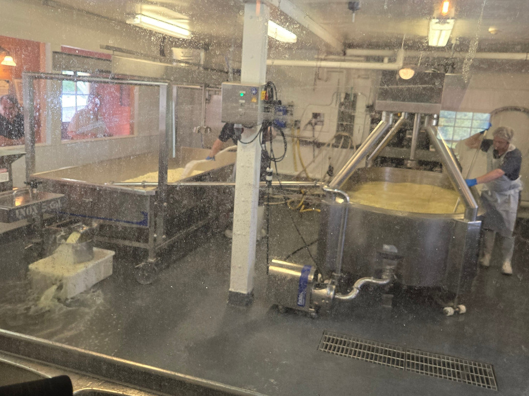 Plymouth Artisan Cheese-Plymouth必去景点