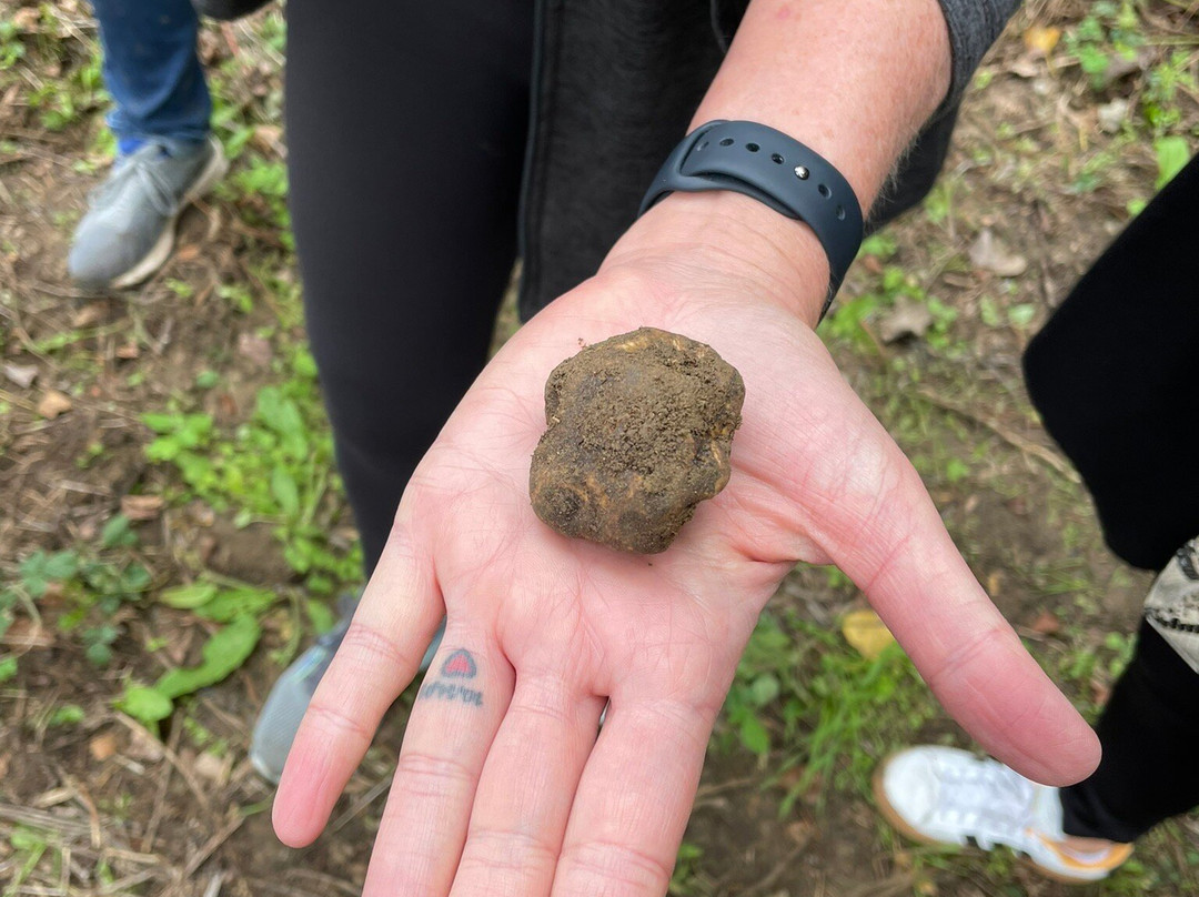 Podere Molinaccio主图