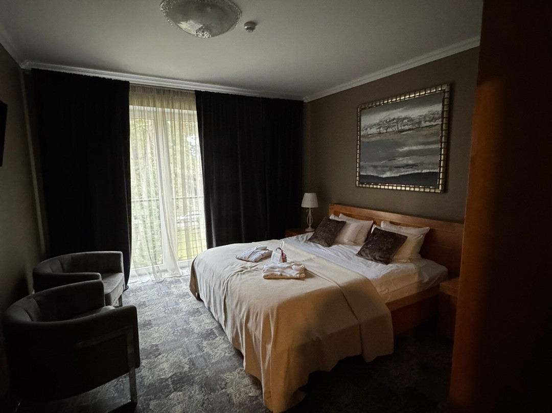 Baltvilla Hotel主图