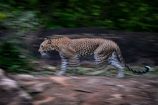 Sunil Reisen-Aluthgama必去景点