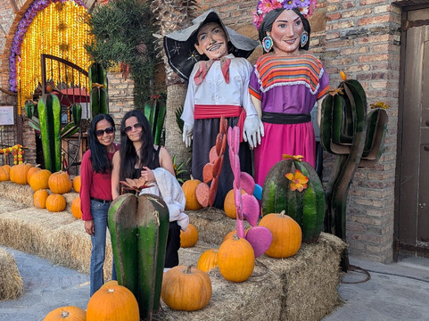 San Diego Baja Tours-圣地亚哥必去景点