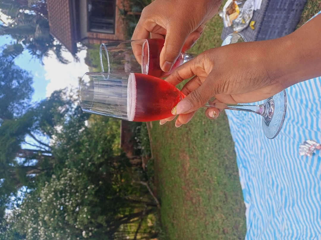 Matusadona Guest Lodge主图