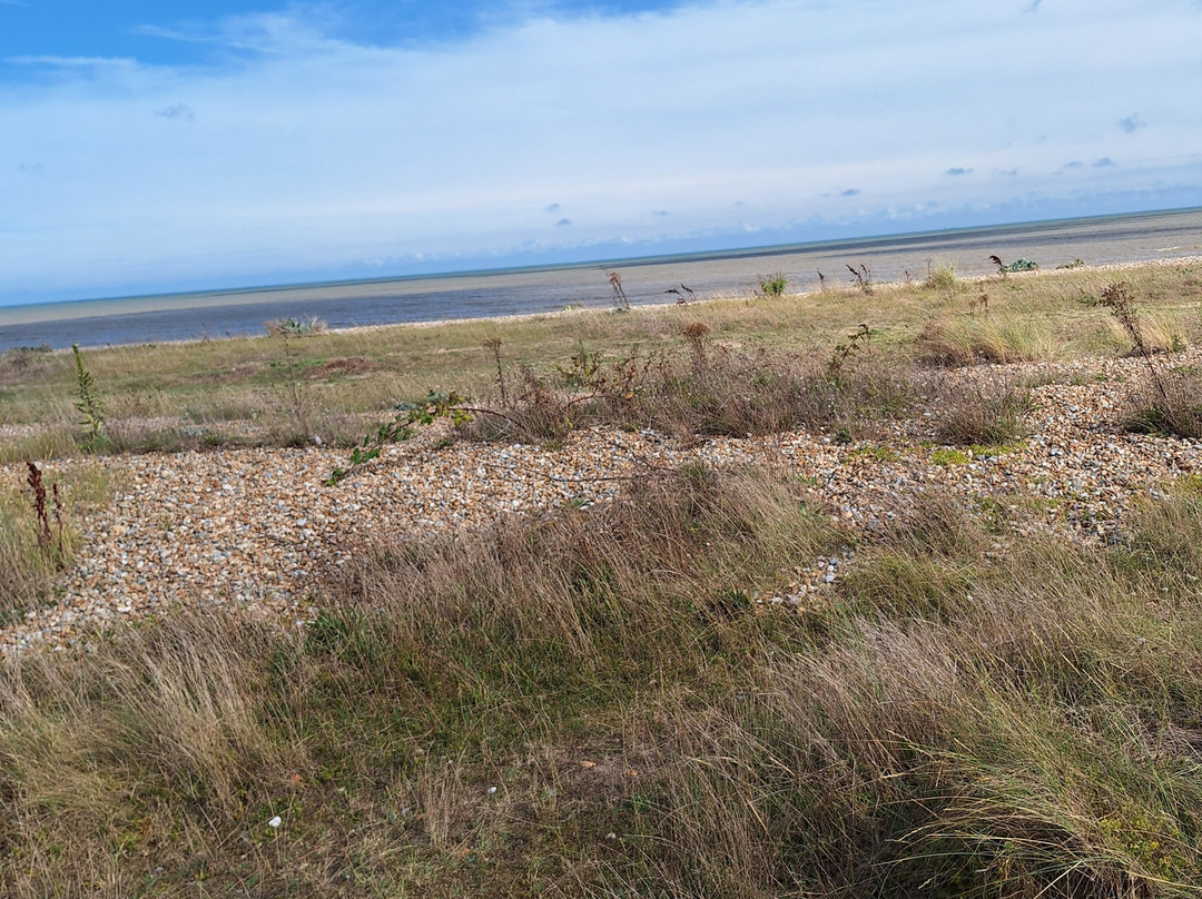 Greatstone Beach景点图片