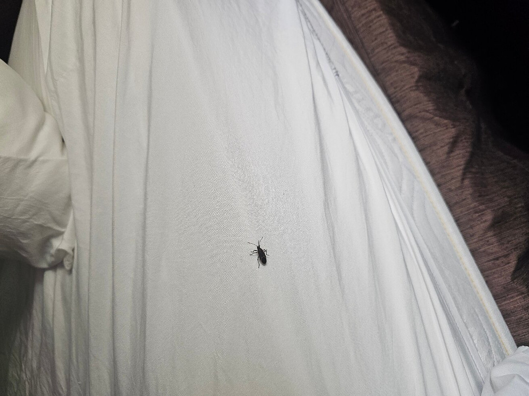 Hampton Inn & Suites Bismarck Northwest主图