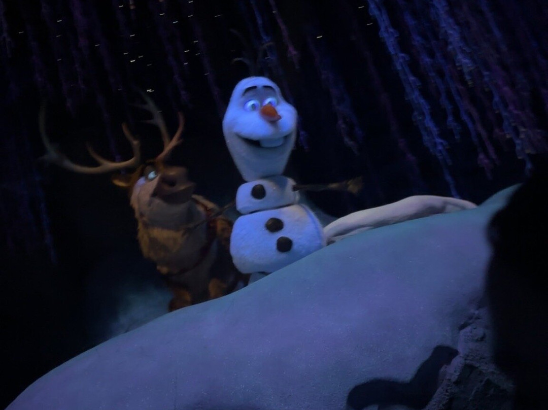 Frozen Ever After-奥兰多必去景点