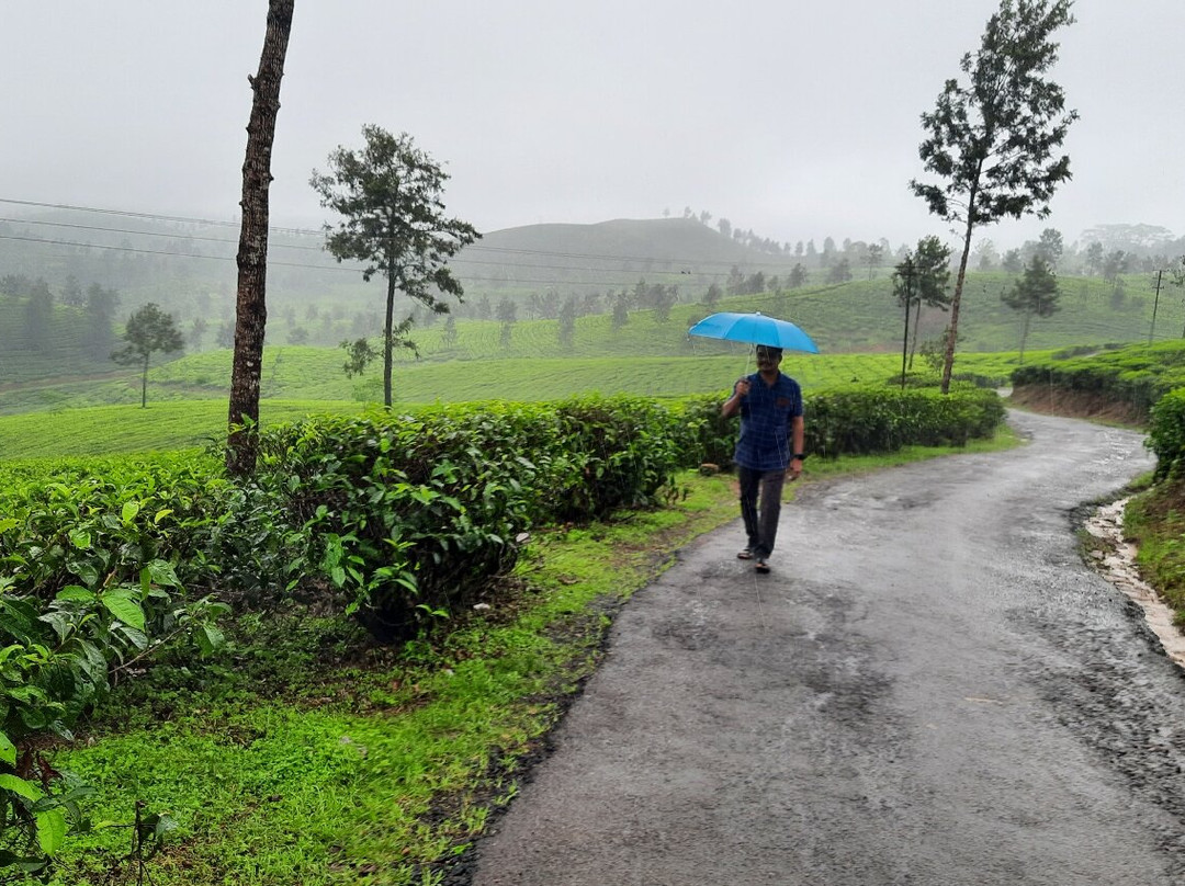 Nallamudi Viewpoint-Valparai必去景点