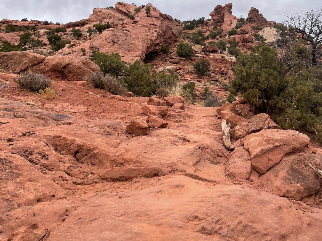 Grand View Point Overlook-峡谷地国家公园必去景点