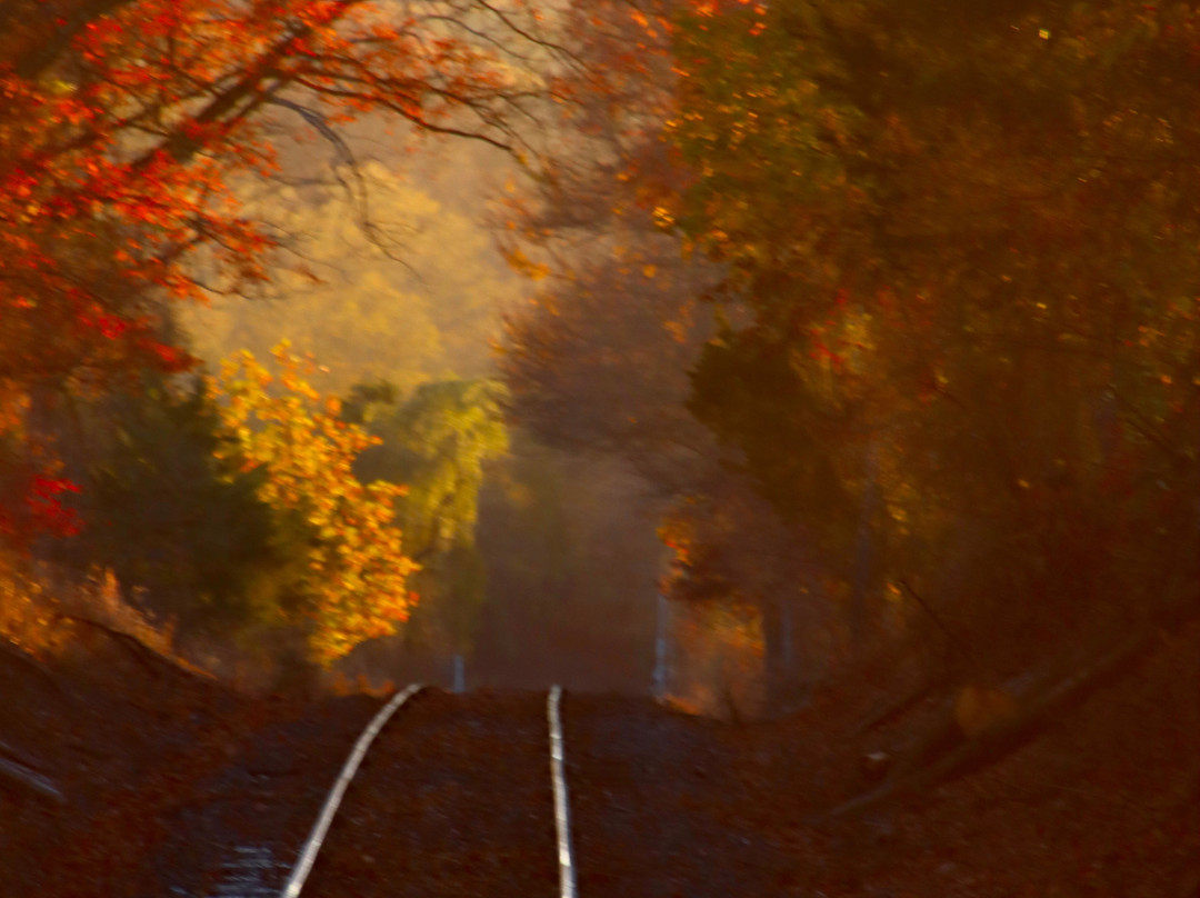 New Hope Railroad景点图片