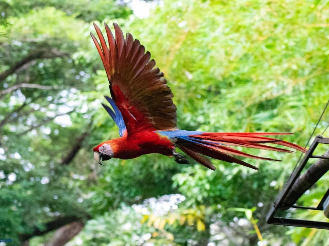 Cabuya旅游攻略图片