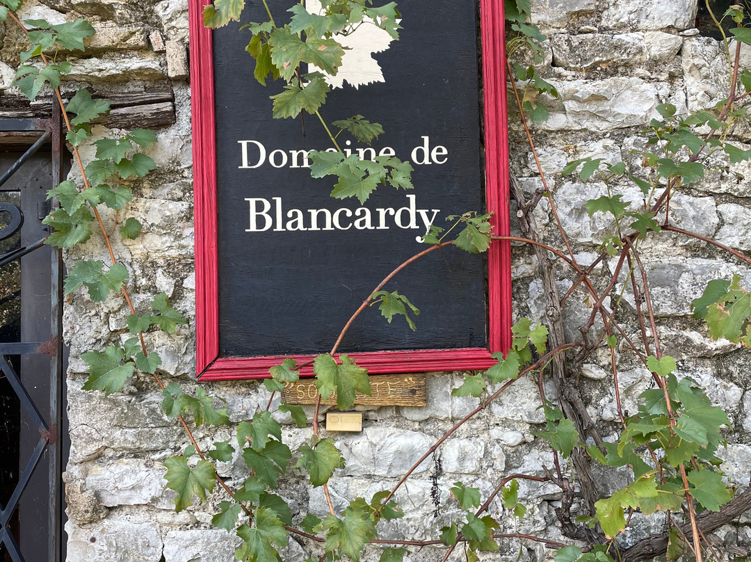 Domaine De Blancardy主图