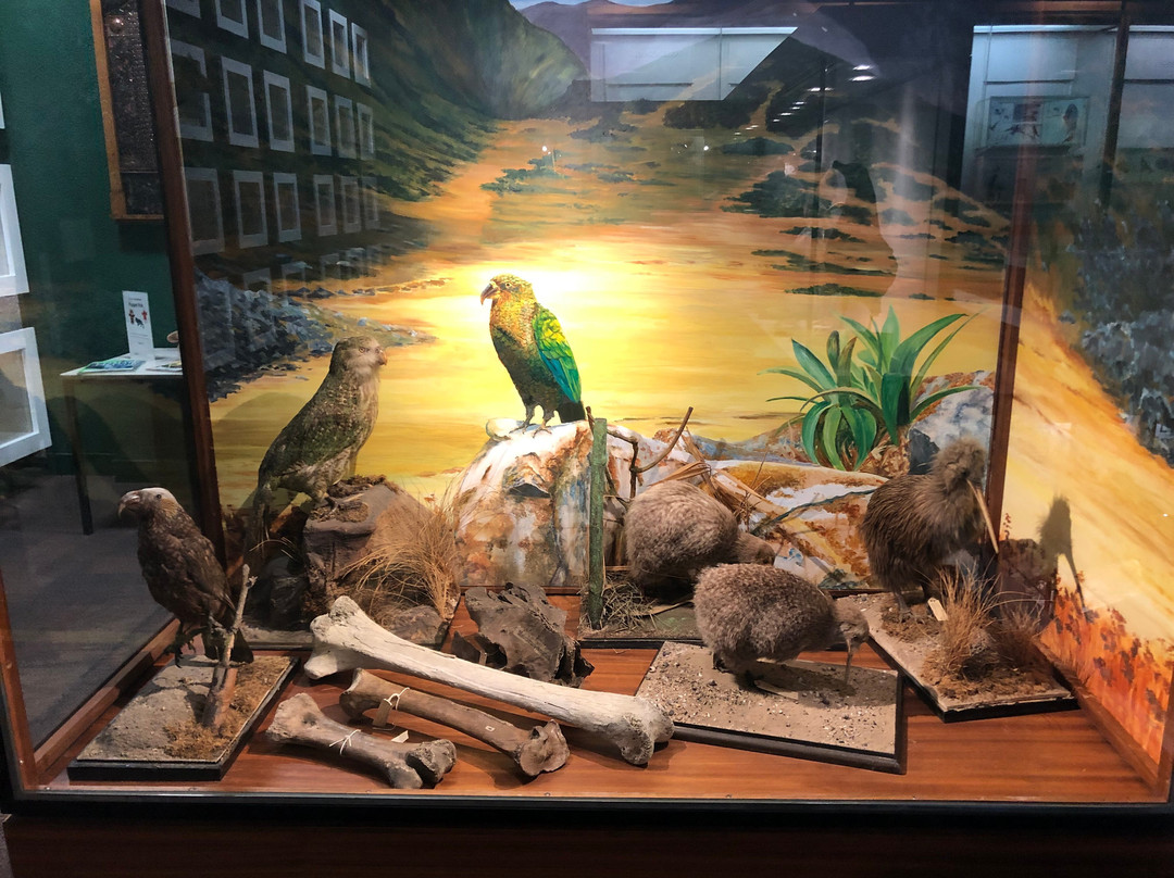 University of Aberdeen Zoology Museum-阿伯丁必去景点