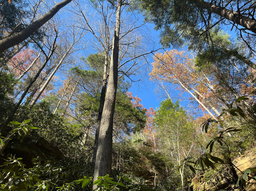 Rock Bridge Trail #207-Slade必去景点
