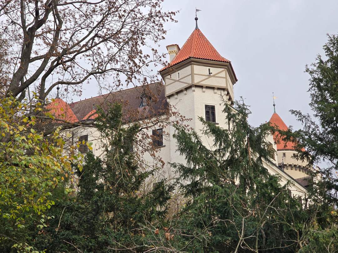 Konopiste Castle景点图片