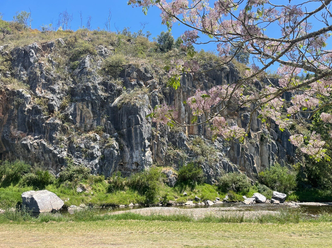 The Bluff Reserve景点图片