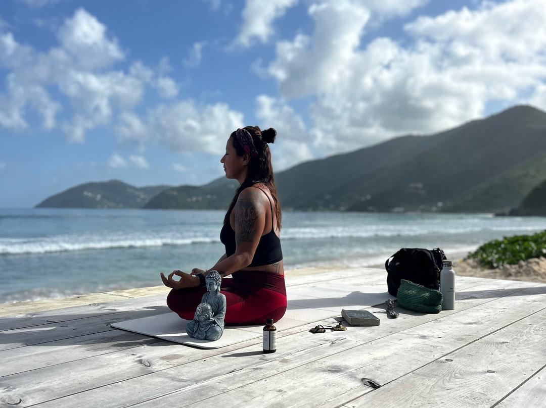 Carol Schoonhoven “Pura Vida Yoga BVI”景点图片