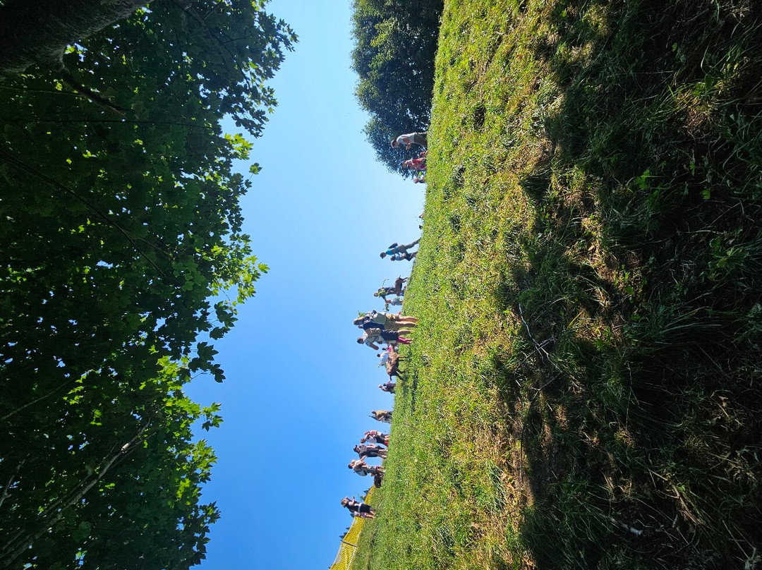 Maso Guez景点图片