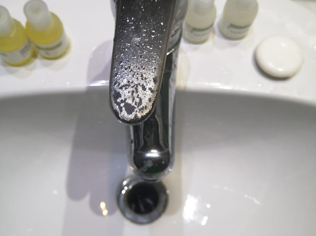 El 牟拉迪马赫迪耶酒店主图