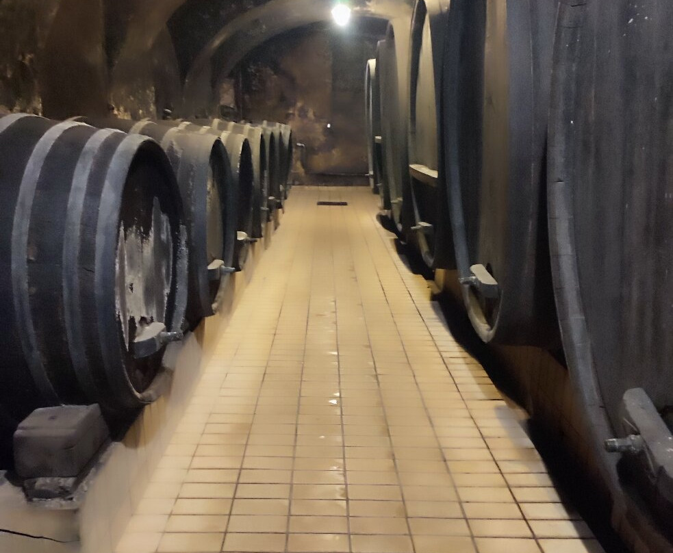 Vinag Wine Cellar-马里博尔必去景点