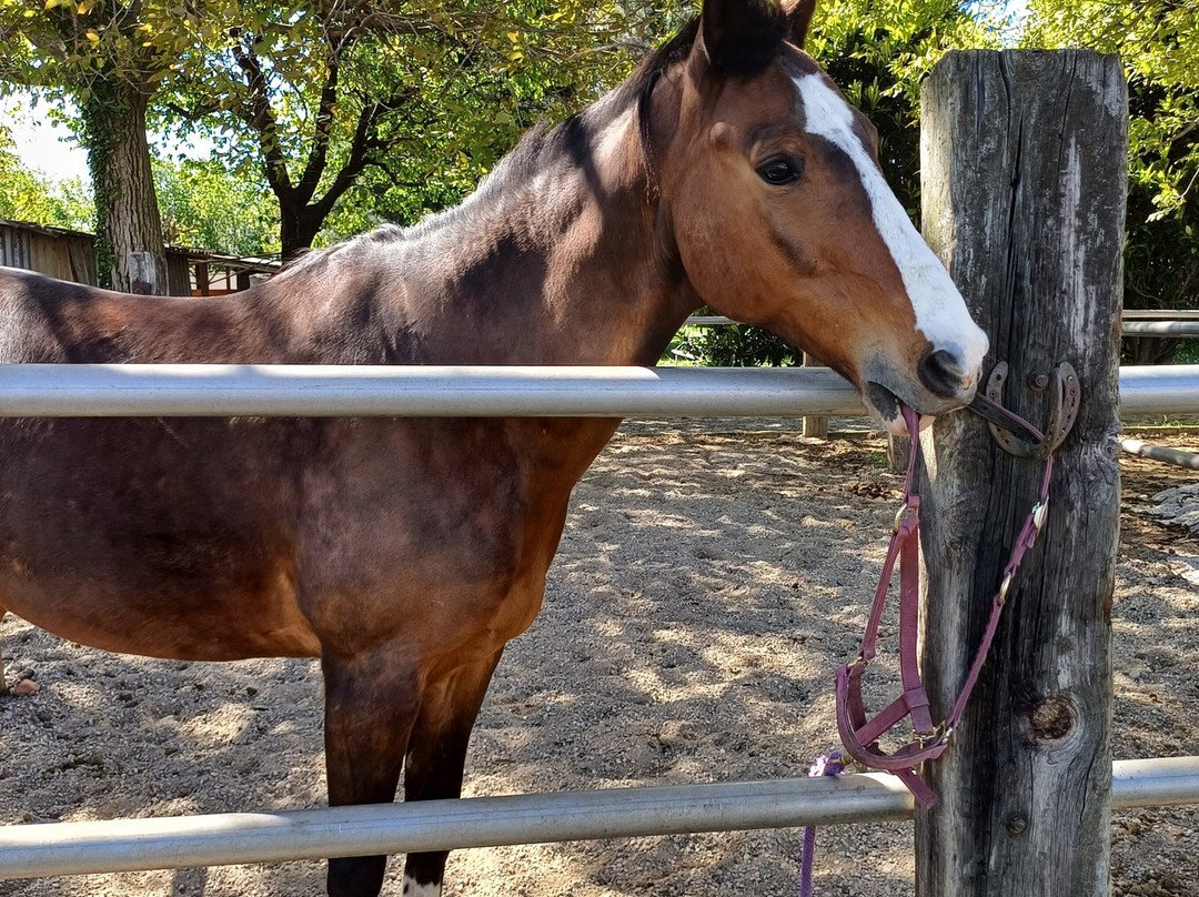 Fattoria Piolanti-Lazzate必去景点