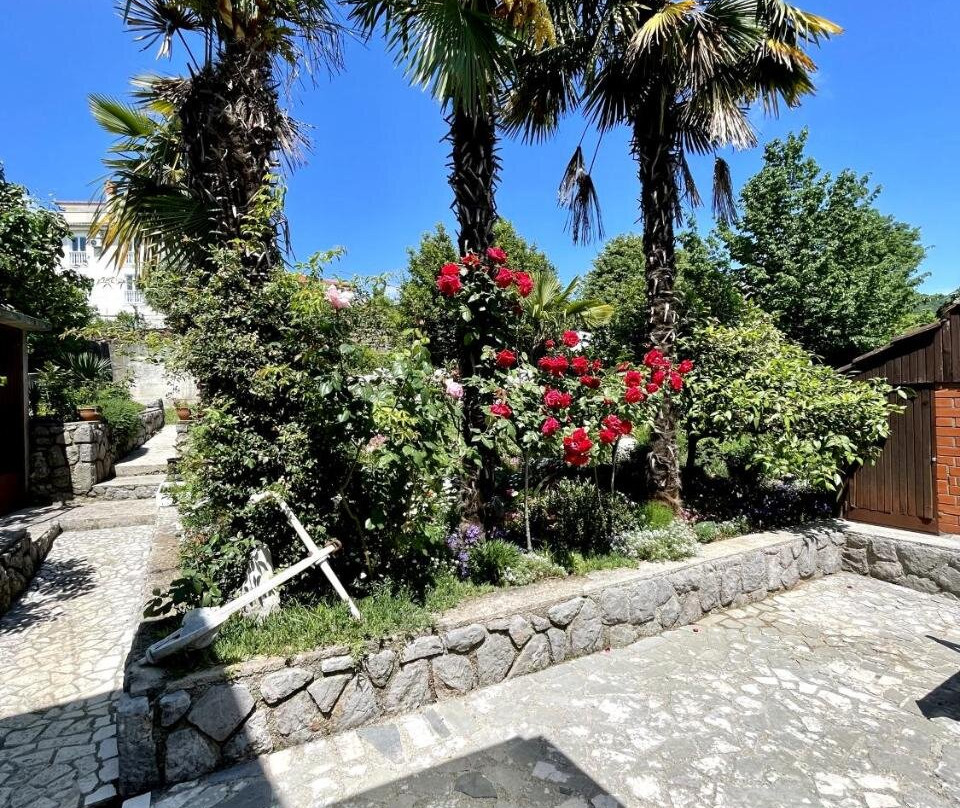 Apartments Miro