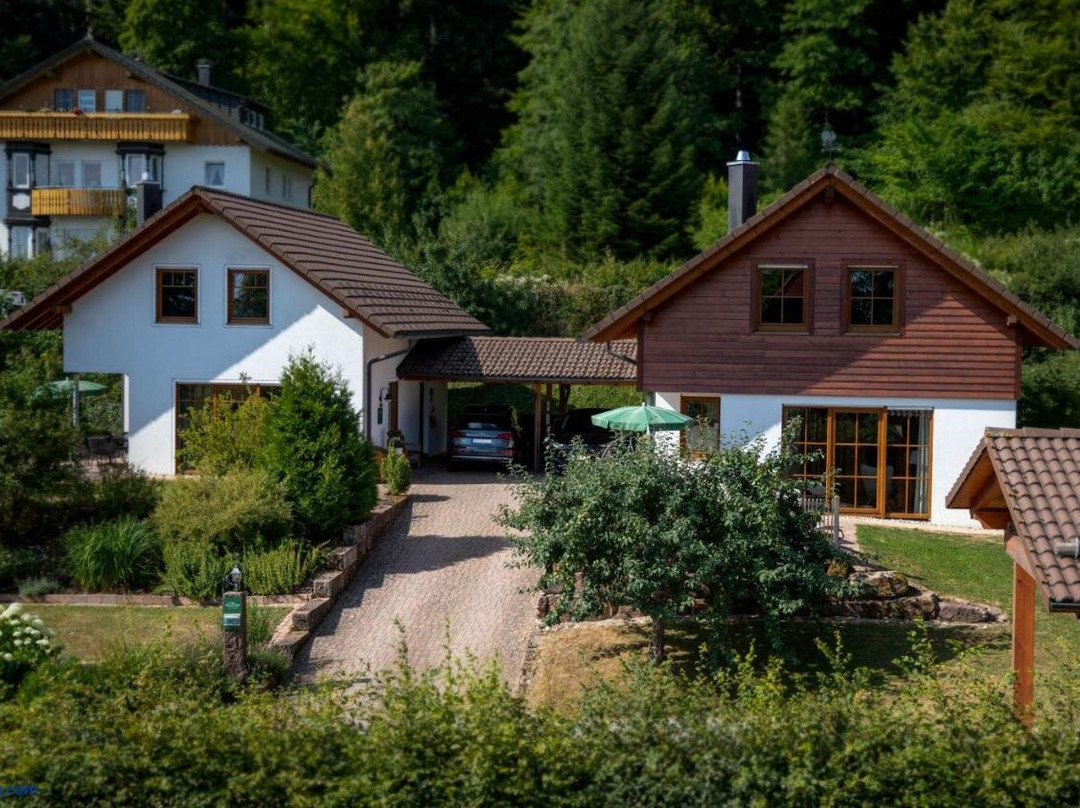 Lauterbad酒店住宿-Schwarzwald Chalets