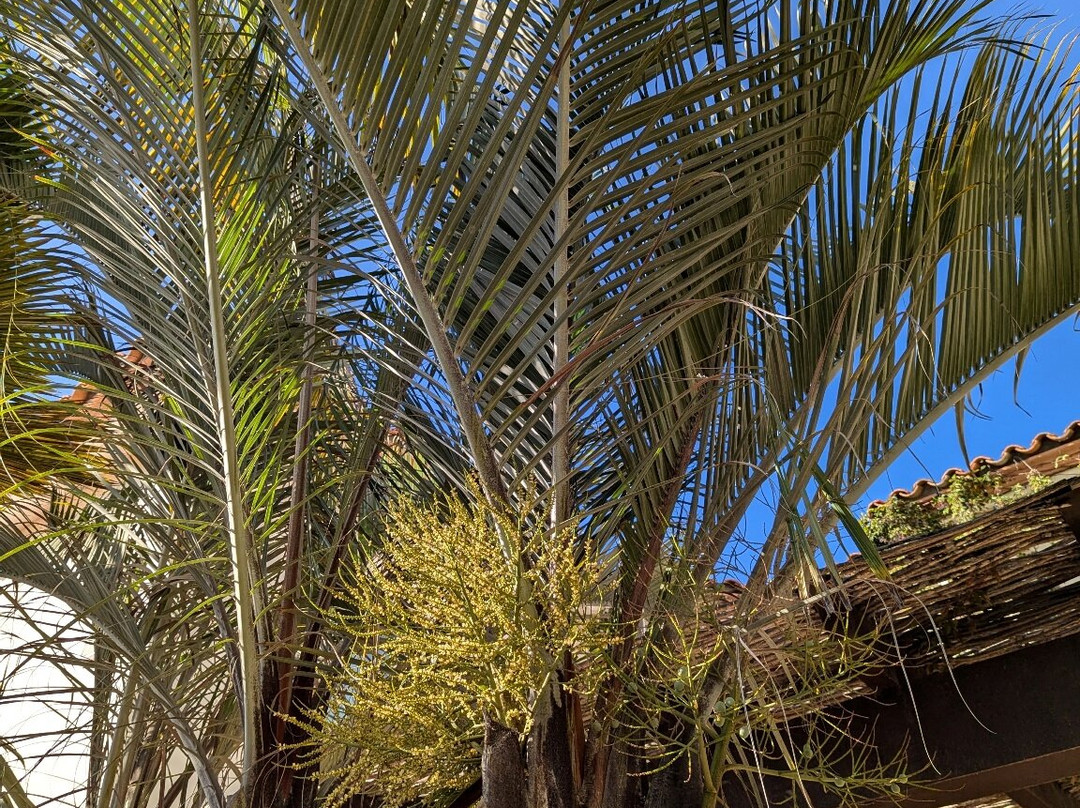 Cerritos Beach Inn主图