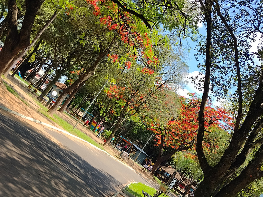 Zoologico Municipal de Piracicaba景点图片