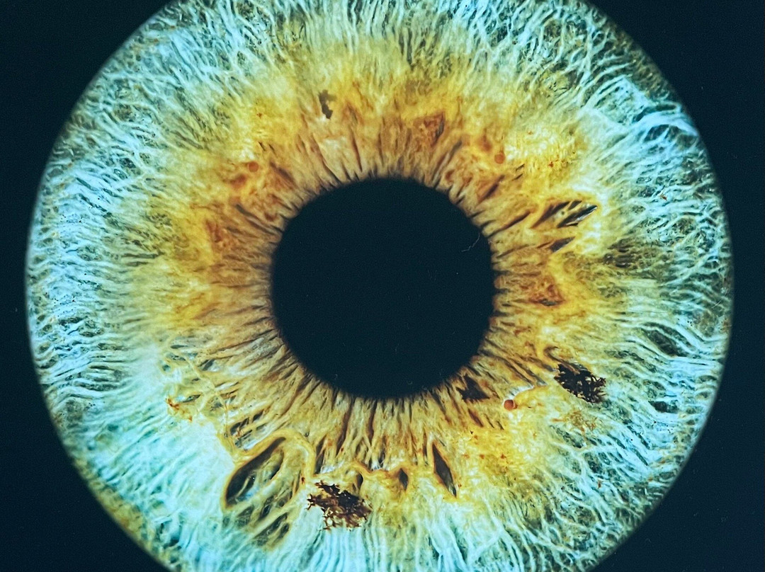 Eyemazy - Lyon-里昂必去景点