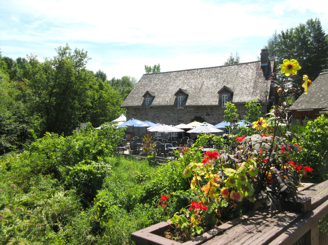 Le Moulin Michel景点图片