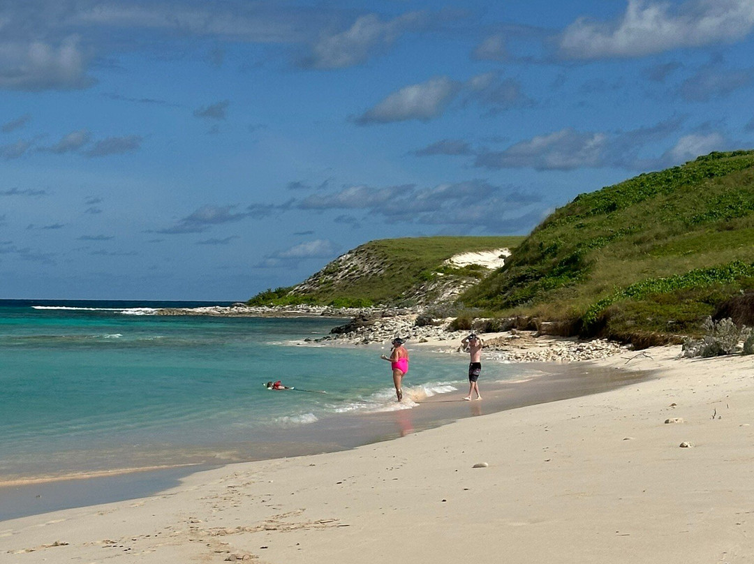 Salt Cay Divers-Salt Cay必去景点