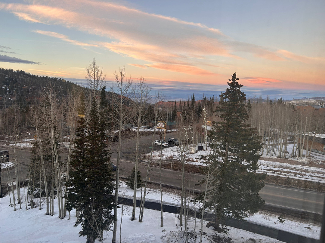 雪松休闲旅舍主图