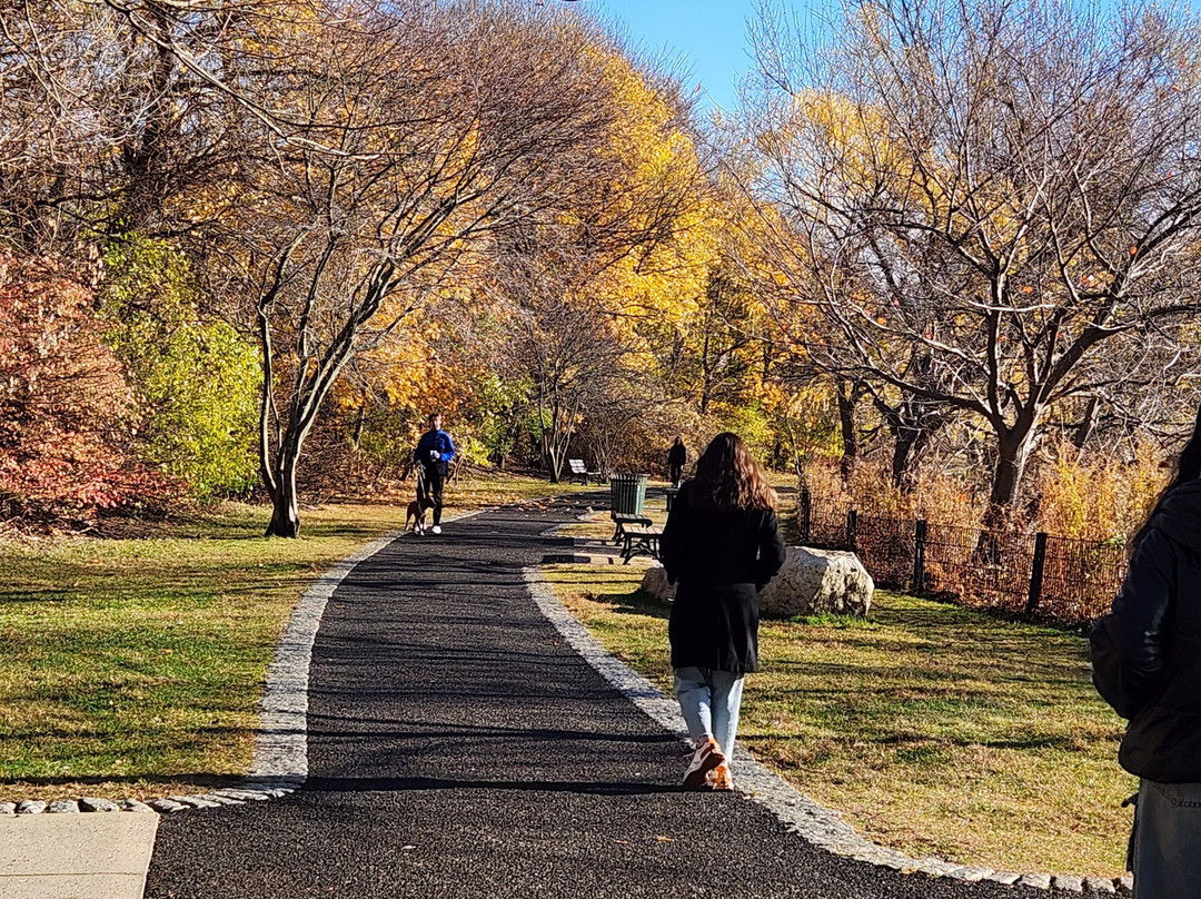 Spy Pond Park景点图片