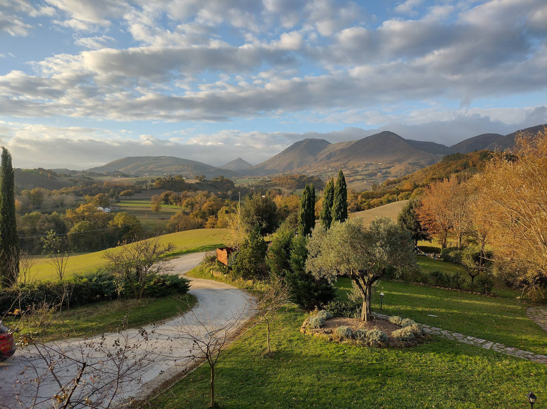 Country House Le Calvie主图