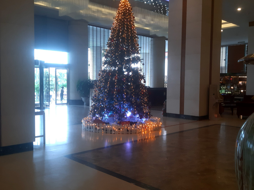 Muong Thanh Luxury Quang Ninh Hotel主图