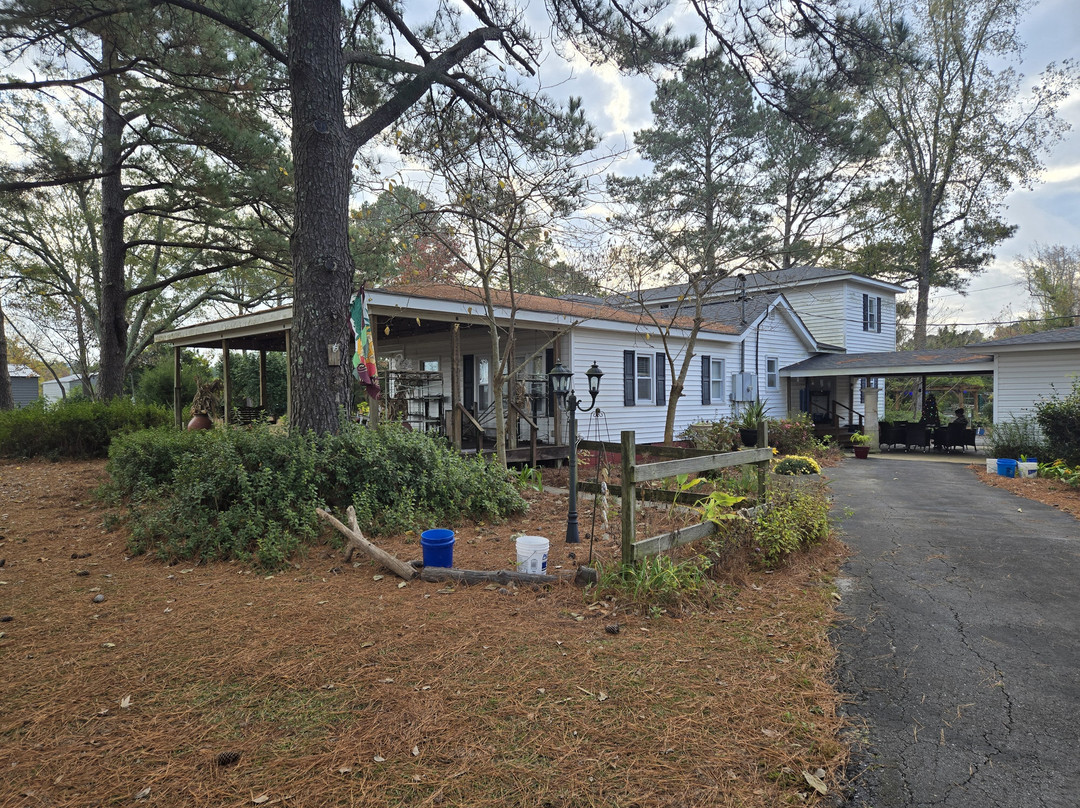 The White House On Freedom Way主图